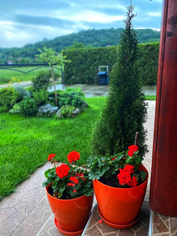Holiday Home Di More Jagodina Extérieur photo